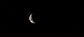 Enlarge photo 74