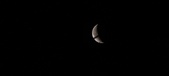 Enlarge photo 77