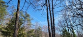 Enlarge photo 71