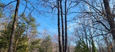 Enlarge photo 73