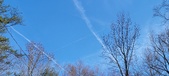 Enlarge photo 70