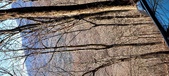 Enlarge photo 38