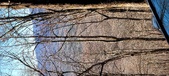 Enlarge photo 37