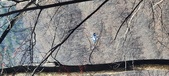 Enlarge photo 36