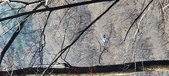 Enlarge photo 35
