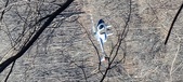 Enlarge photo 39