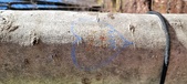 Enlarge photo 41