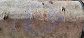 Enlarge photo 42