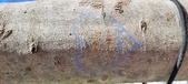 Enlarge photo 45