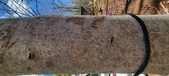 Enlarge photo 50