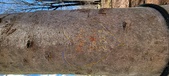 Enlarge photo 49