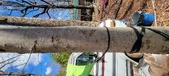 Enlarge photo 43