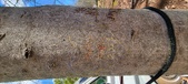 Enlarge photo 48