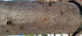 Enlarge photo 51