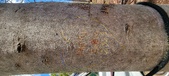 Enlarge photo 52
