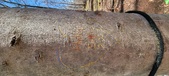 Enlarge photo 53