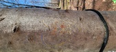 Enlarge photo 54