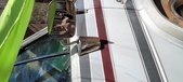 Enlarge photo 56