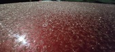 Enlarge photo 546