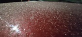 Enlarge photo 547