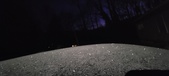 Enlarge photo 554