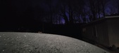 Enlarge photo 558