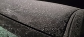 Enlarge photo 567