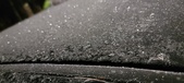 Enlarge photo 570
