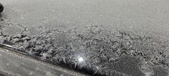 Enlarge photo 620