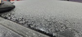 Enlarge photo 619