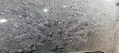 Enlarge photo 629