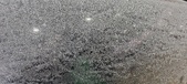 Enlarge photo 628