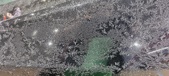 Enlarge photo 638