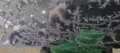 Enlarge photo 644