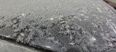 Enlarge photo 655