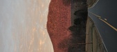 Enlarge photo 672