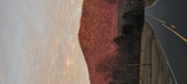 Enlarge photo 673