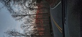 Enlarge photo 681
