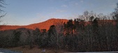 Enlarge photo 685