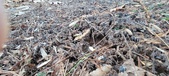 Enlarge photo 525