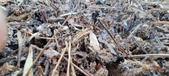 Enlarge photo 526