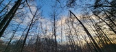 Enlarge photo 528