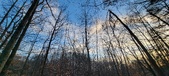 Enlarge photo 529