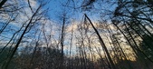 Enlarge photo 530