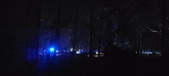 Enlarge photo 544