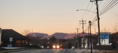 Enlarge photo 393