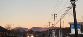 Enlarge photo 391