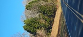 Enlarge photo 401