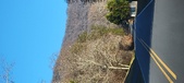 Enlarge photo 405