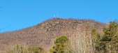 Enlarge photo 403